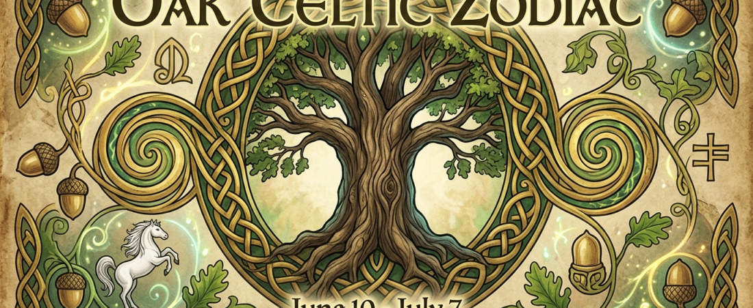 Oak Celtic Zodiac Sign – Meaning, Traits & The Stabiliser